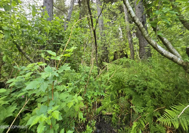 Photo 2 of Land for sale at L10 B7 Wizard Ave, Seward, AK 99664 | MLS# 26-8257 | Listing updated on 2026-08-22