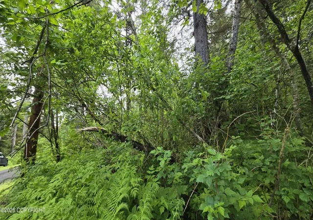 Photo 3 of Land for sale at L10 B7 Wizard Ave, Seward, AK 99664 | MLS# 26-8257 | Listing updated on 2026-08-22