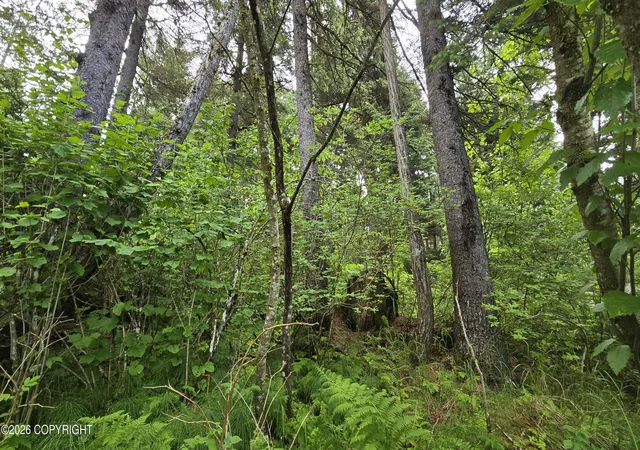 Photo 3 of Land for sale at L10 B7 Wizard Ave, Seward, AK 99664 | MLS# 26-8257 | Listing updated on 2026-08-22
