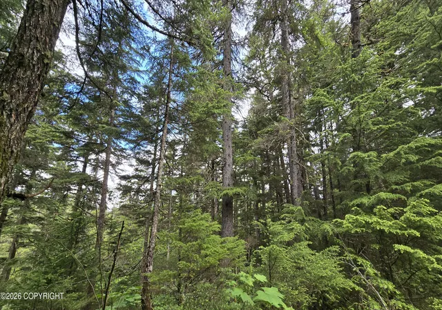 Photo 12 of Land for sale at L13 B7 Merlin Dr, Seward, AK 99664 | MLS# 26-8258 | Listing updated on 2026-08-22