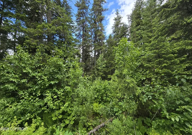 Photo 3 of Land for sale at L13 B7 Merlin Dr, Seward, AK 99664 | MLS# 26-8258 | Listing updated on 2026-08-22