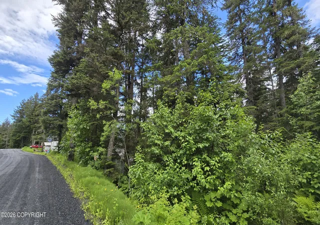 Photo 4 of Land for sale at L13 B7 Merlin Dr, Seward, AK 99664 | MLS# 26-8258 | Listing updated on 2026-08-22