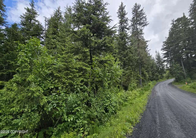 Photo 5 of Land for sale at L13 B7 Merlin Dr, Seward, AK 99664 | MLS# 26-8258 | Listing updated on 2026-08-22