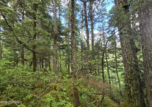 Photo 2 of Land for sale at 32735 Wizard Ave, Seward, AK 99664 | MLS# 26-8256 | Listing updated on 2026-07-22