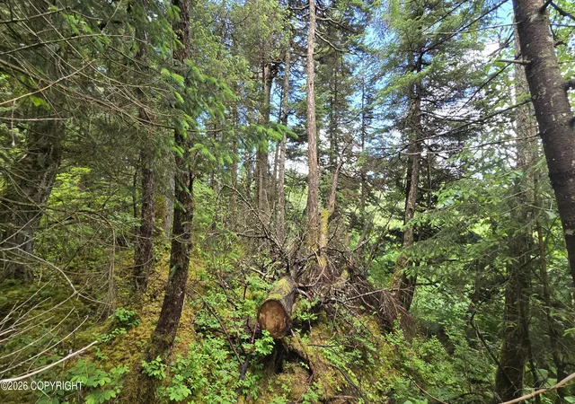 Photo 3 of Land for sale at 32735 Wizard Ave, Seward, AK 99664 | MLS# 26-8256 | Listing updated on 2026-07-22