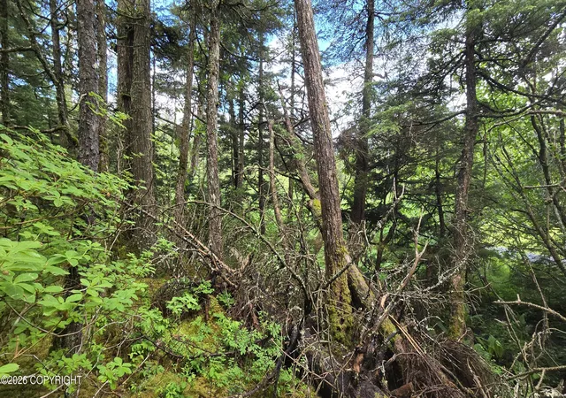 Photo 3 of Land for sale at 32735 Wizard Ave, Seward, AK 99664 | MLS# 26-8256 | Listing updated on 2026-07-22