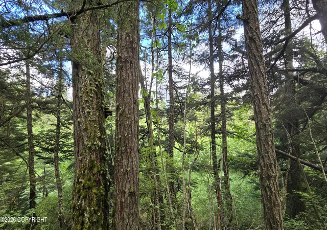 Photo 4 of Land for sale at 32735 Wizard Ave, Seward, AK 99664 | MLS# 26-8256 | Listing updated on 2026-07-22