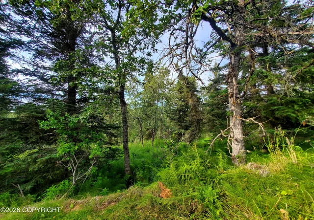 Photo 3 of Land for sale at 73486 Ann Ct, Anchor Point, AK 99556 | MLS# 26-8381 | Listing updated on 2026-09-10
