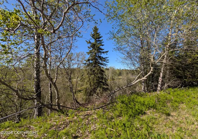 Photo 3 of Land for sale at 73486 Ann Ct, Anchor Point, AK 99556 | MLS# 26-8381 | Listing updated on 2026-09-10