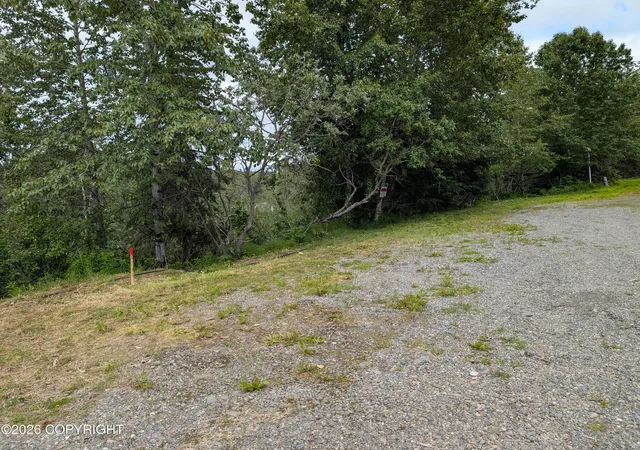 Photo 4 of Land for sale at 73486 Ann Ct, Anchor Point, AK 99556 | MLS# 26-8381 | Listing updated on 2026-09-10