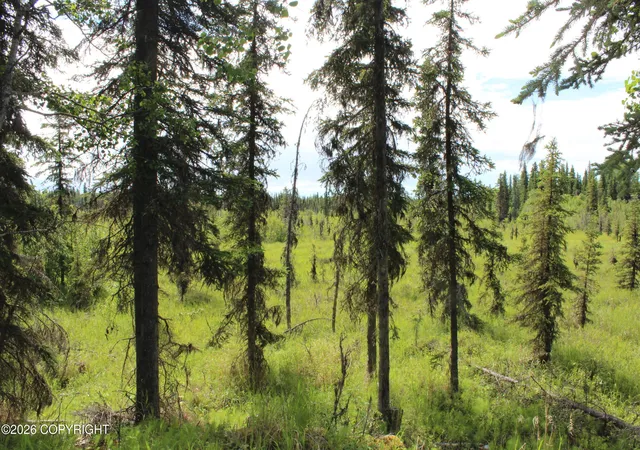 Photo 3 of Land for sale at L3b2 Crooked Crk Rd, Kasilof, AK 99610 | MLS# 26-9124 | Listing updated on 2026-08-28