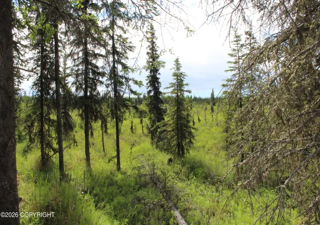 Photo 4 of Land for sale at L3b2 Crooked Crk Rd, Kasilof, AK 99610 | MLS# 26-9124 | Listing updated on 2026-08-28