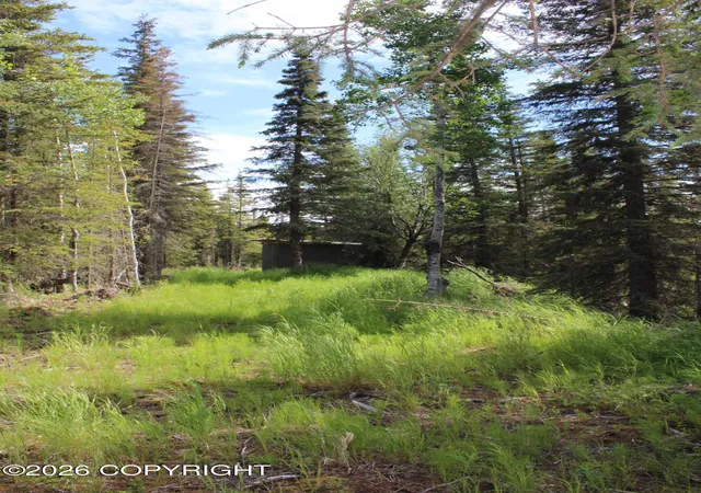 Photo 5 of Land for sale at L3b2 Crooked Crk Rd, Kasilof, AK 99610 | MLS# 26-9124 | Listing updated on 2026-08-28