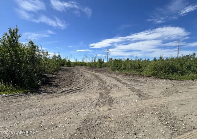 Homes for sale in Willow, AK | 15466 E Wild Bill Way Lot 6, Willow, AK 99688 | MLS# 26-8468