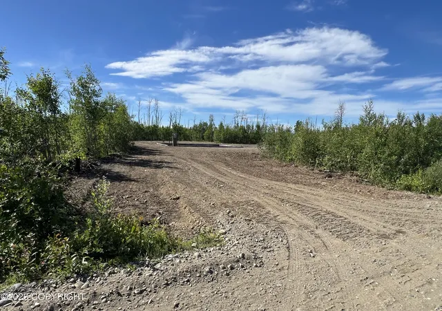 Homes for sale in Willow, AK | 15434 E Wild Bill Way Lot 6&7, Willow, AK 99688 | MLS# 26-8417