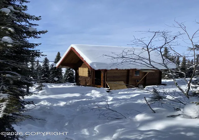 Homes for sale in Glennallen, AK | Nhn On Lake Louise, Glennallen, AK 99588 | MLS# 26-8388