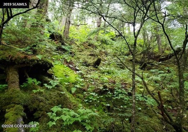 Photo 3 of Land for sale at Lot 58 Nhn Legal Address Only, Elfin Cove, AK 99825 | MLS# 26-8479 | Listing updated on 2026-07-10