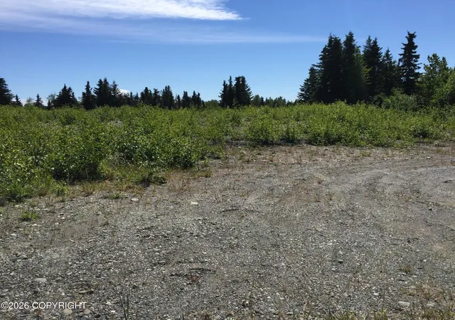 Photo 1 of Land for sale at 66417 Alder Ave, Ninilchik, AK 99639 | MLS# 26-9369 | Listing updated on 2026-08-01