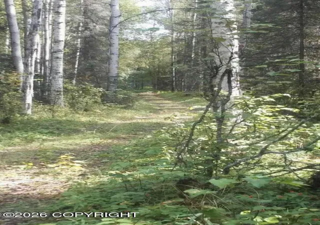14th image of A002 No Road, Big Lake, AK 99652 | MLS# 26-8482