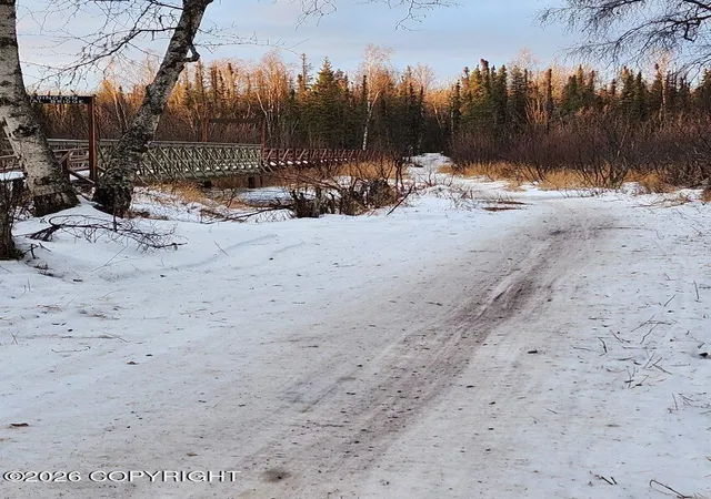 3rd image of A002 No Road, Big Lake, AK 99652 | MLS# 26-8482