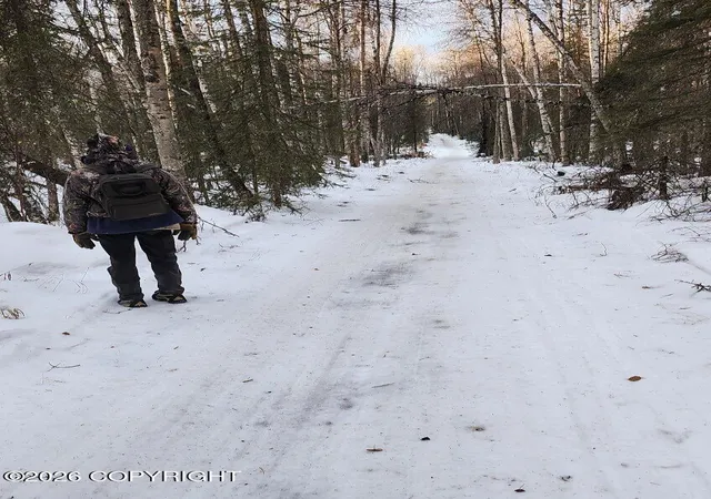 5th image of A002 No Road, Big Lake, AK 99652 | MLS# 26-8482
