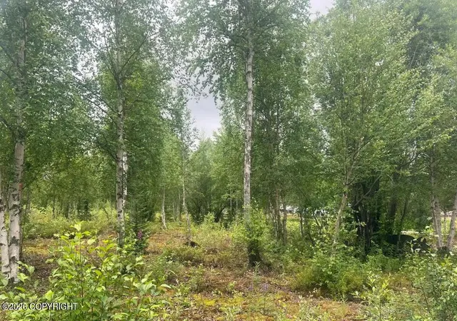 Photo 1 of Land for sale at 4758 S Horseshoe Lake Rd, Big Lake, AK 99652 | MLS# 26-8981 | Listing updated on 2026-07-20