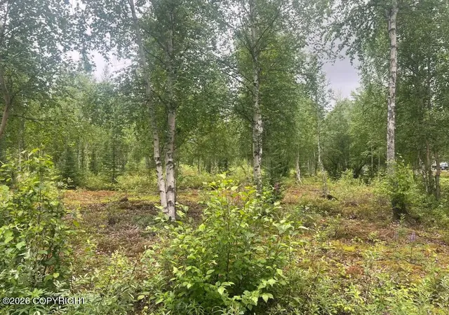 Photo 2 of Land for sale at 4758 S Horseshoe Lake Rd, Big Lake, AK 99652 | MLS# 26-8981 | Listing updated on 2026-07-20