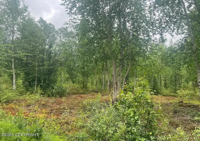 Photo 3 of Land for sale at 4758 S Horseshoe Lake Rd, Big Lake, AK 99652 | MLS# 26-8981 | Listing updated on 2026-07-20