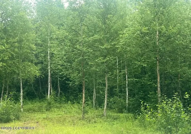 Photo 3 of Land for sale at 4758 S Horseshoe Lake Rd, Big Lake, AK 99652 | MLS# 26-8981 | Listing updated on 2026-07-20