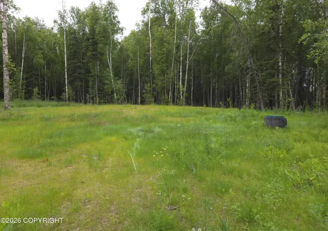 Homes for sale in Wasilla, AK | 4540 N Silver Cir, Wasilla, AK 99623 | MLS# 26-8477