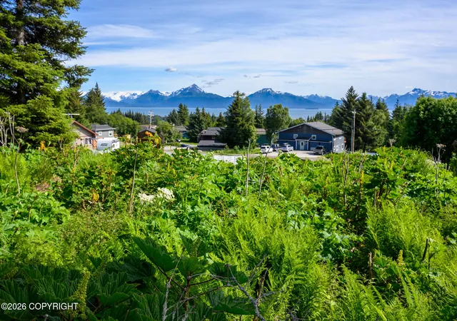 Homes for sale in Homer, AK | 167 E Danview Ave, Homer, AK 99603 | MLS# 26-8564