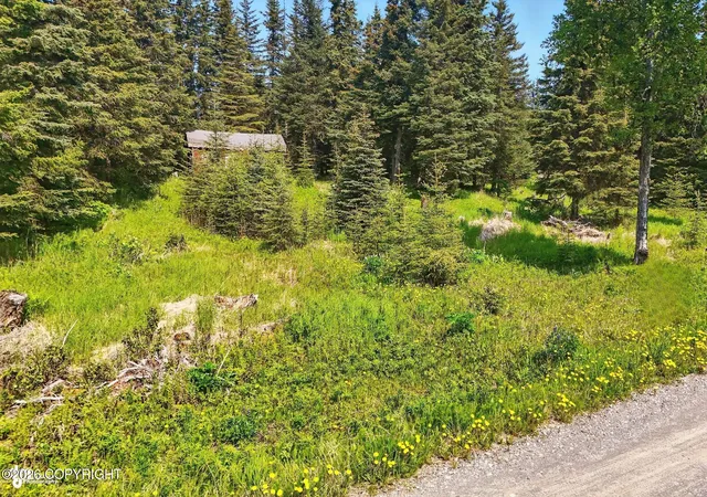 Homes for sale in Ninilchik, AK | 67290 Kiana Dr, Ninilchik, AK 99639 | MLS# 26-8484