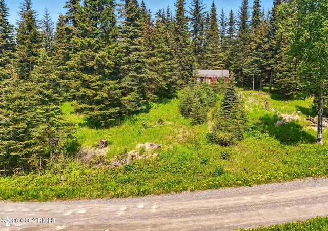 Homes for sale in Ninilchik, AK | 67290 Kiana Dr, Ninilchik, AK 99639 | MLS# 26-8484