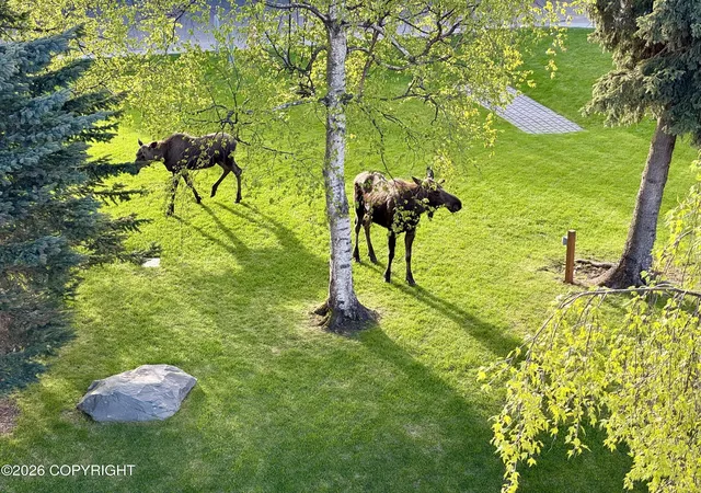 Photo 2 of Condo for sale at 5201 E Northern Lights Blvd #5W, Anchorage, AK 99508 | MLS# 26-8549 | Listing updated on 2026-08-29