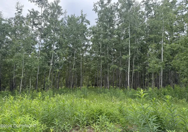 3rd image of 2150 S Sea Biscuit Ln, Palmer, AK 99645 | MLS# 26-8634