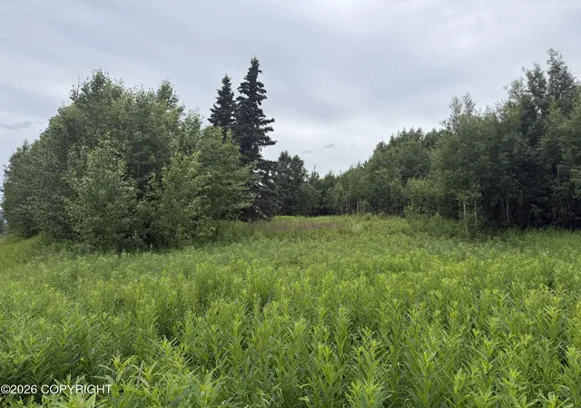 4th image of 2150 S Sea Biscuit Ln, Palmer, AK 99645 | MLS# 26-8634
