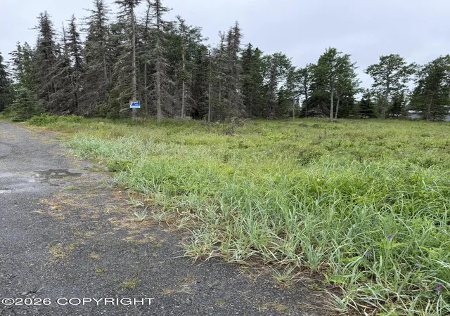 4th image of 38602 Kalifornsky Beach Rd, Kenai, AK 99611 | MLS# 26-8674