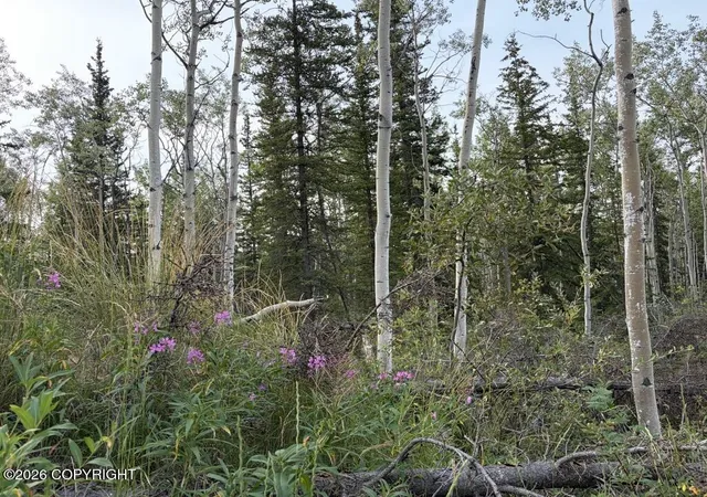 Photo 2 of Land for sale at Lot 15 Drucke Miller Rd, Tok, AK 99780 | MLS# 26-9428 | Listing updated on 2026-08-24