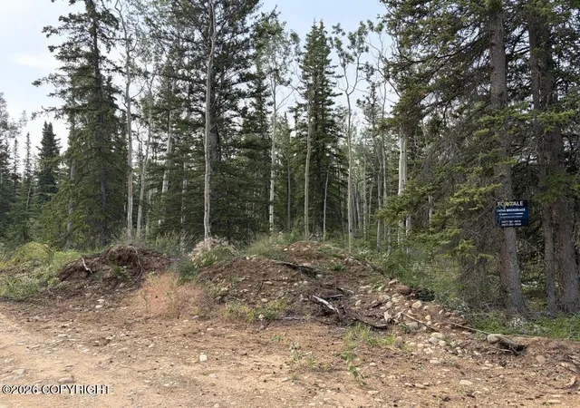 Photo 3 of Land for sale at Lot 15 Drucke Miller Rd, Tok, AK 99780 | MLS# 26-9428 | Listing updated on 2026-08-24