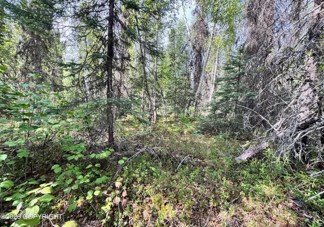 Homes for sale in Willow, AK | 26786 W Lakeshore Cir, Willow, AK 99688 | MLS# 26-8644
