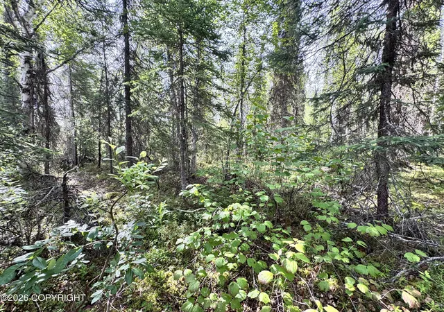 Homes for sale in Willow, AK | 26814 W Lakeshore Cir, Willow, AK 99688 | MLS# 26-8672