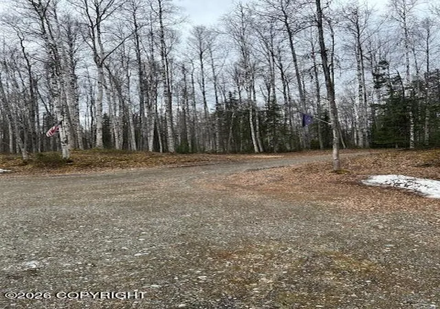 Photo 5 of Land for sale at 47625 S Brower Pl, Willow, AK 99688 | MLS# 26-9042 | Listing updated on 2026-07-24