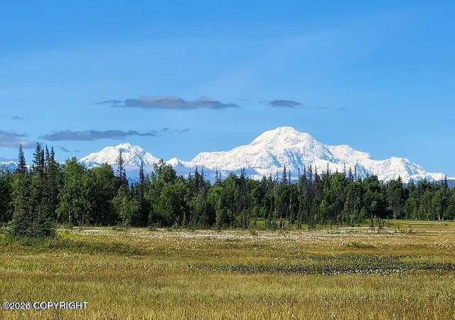 Land for sale at 16637 S Laramie Dr, Trapper Creek, AK 99683 | MLS# 26-8753 | Listing updated on 2026-07-15