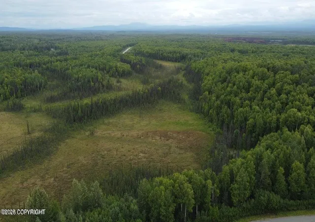 2nd image of Tr A E Mount Snowshoe Dr, Talkeetna, AK 99676 | MLS# 26-8691