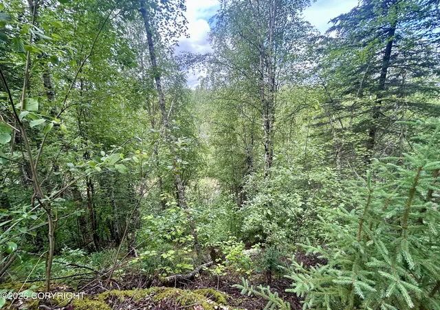 Photo 22 of Single family home for sale at 47068 S Merlin Dr, Willow, AK 99688 | MLS# 26-9136 | Listing updated on 2026-08-28