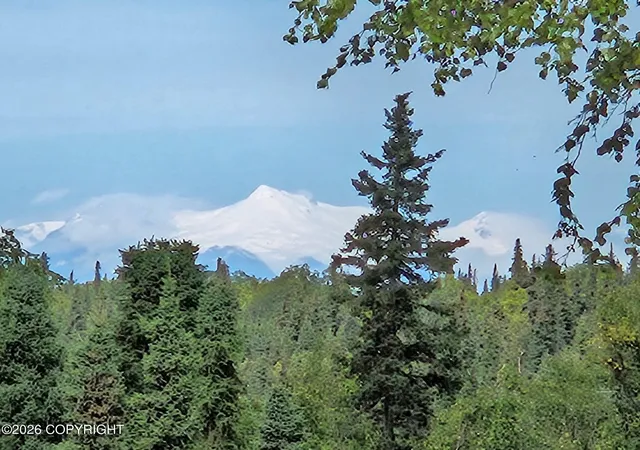 Photo 2 of Land for sale at 53670 Stol Rd, Clam Gulch, AK 99568 | MLS# 26-8943 | Listing updated on 2026-07-20