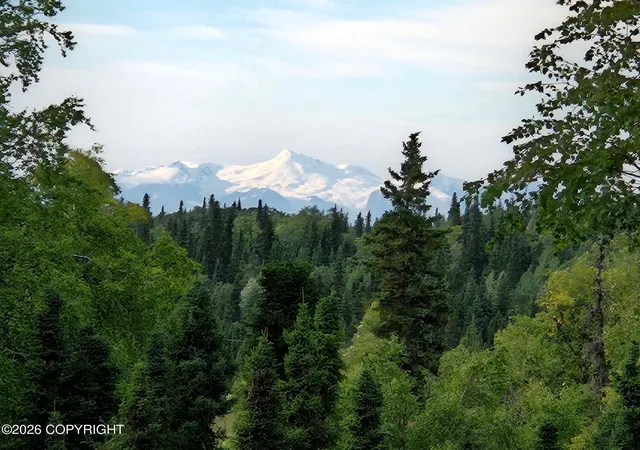 Photo 3 of Land for sale at 53670 Stol Rd, Clam Gulch, AK 99568 | MLS# 26-8943 | Listing updated on 2026-07-20