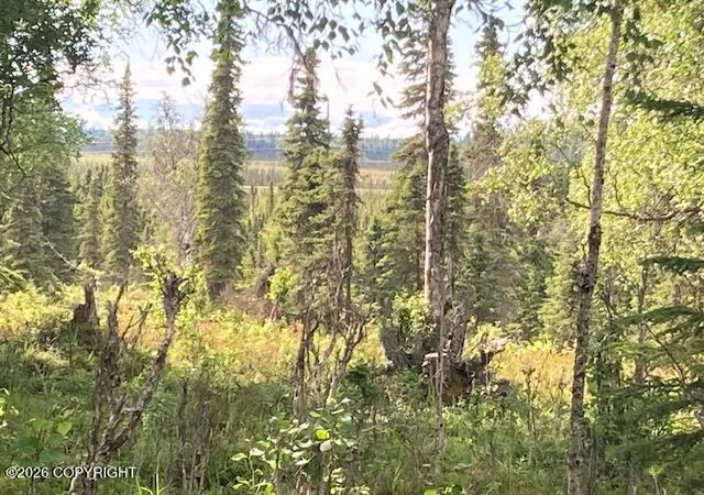 Photo 4 of Land for sale at 53670 Stol Rd, Clam Gulch, AK 99568 | MLS# 26-8943 | Listing updated on 2026-07-20