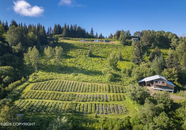 Photo 3 of Single family home for sale at 5655 Scenic Pl, Homer, AK 99603 | MLS# 26-9074 | Listing updated on 2026-07-22