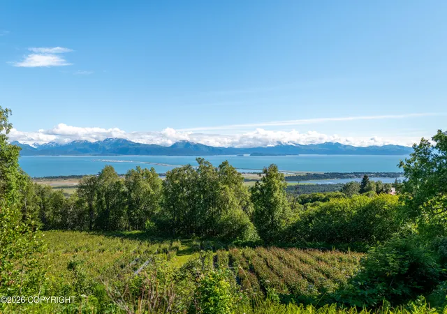 Photo 3 of Single family home for sale at 5655 Scenic Pl, Homer, AK 99603 | MLS# 26-9074 | Listing updated on 2026-07-22